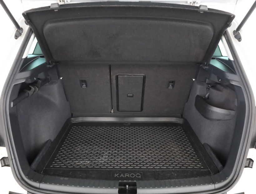 Škoda Karoq, 2019
