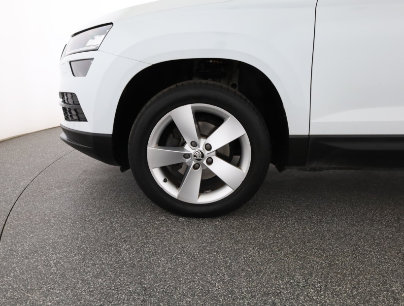 Škoda Karoq, 2019
