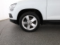 Škoda Karoq, 2019