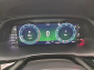 Škoda Octavia, 2021