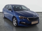 Škoda Scala, 2019