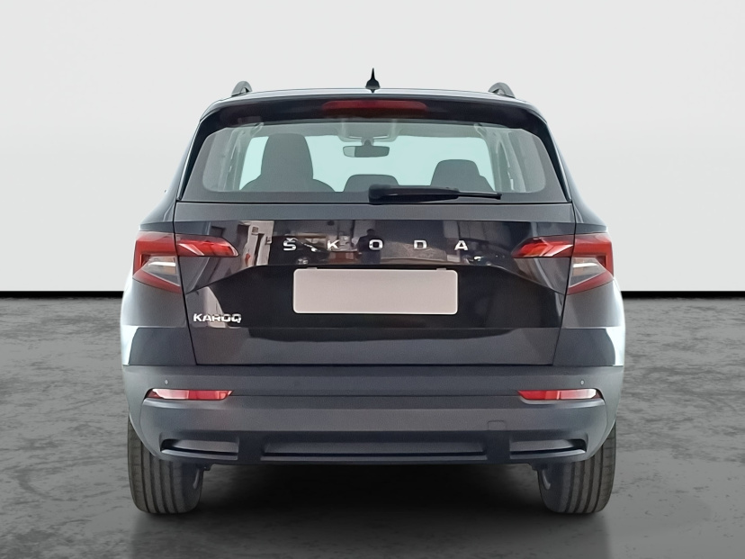 Škoda Karoq, 2021