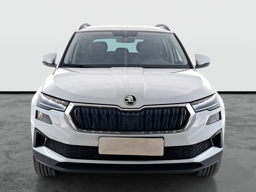 Škoda Karoq, 2022
