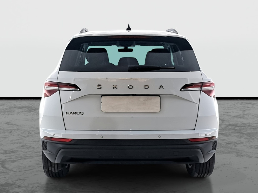 Škoda Karoq, 2022