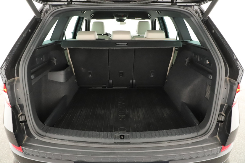 Škoda Kodiaq, 2021