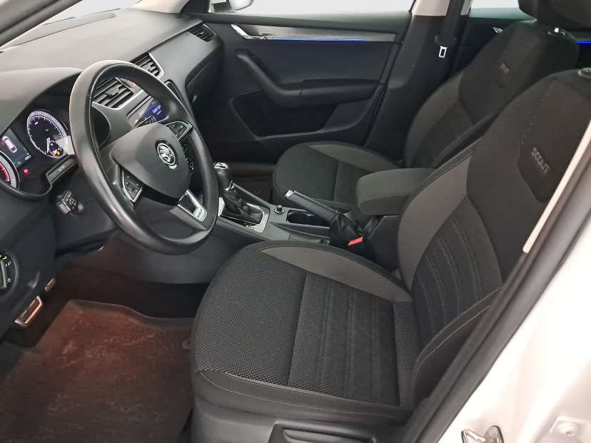 Škoda Octavia Scout, 2019