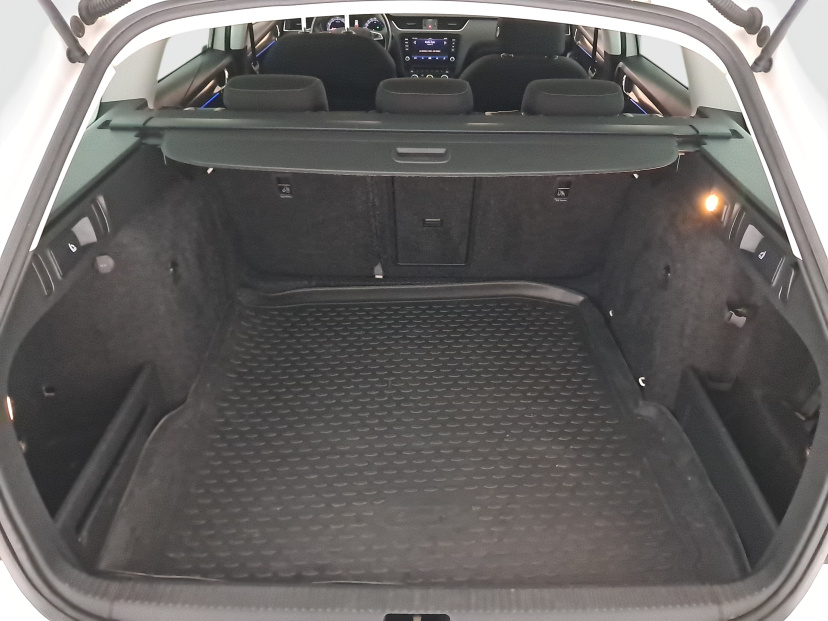 Škoda Octavia Scout, 2019
