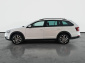 Škoda Octavia Scout, 2019
