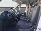 Fiat Ducato, 2021