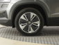 Škoda Karoq, 2024