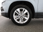 Škoda Karoq, 2020