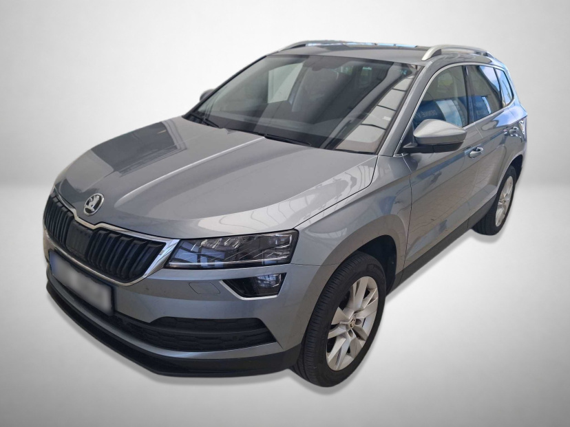 Škoda Karoq, 2020