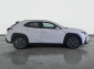 Lexus UX, 2025