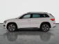 Škoda Kodiaq, 2020
