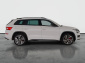 Škoda Kodiaq, 2020