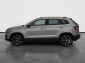 Škoda Karoq, 2020