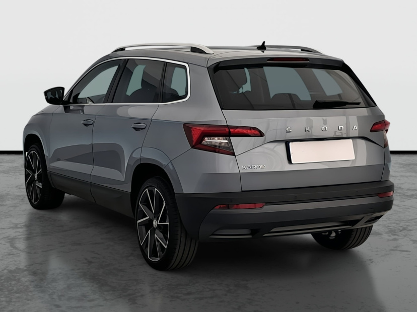 Škoda Karoq, 2020
