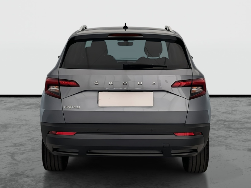 Škoda Karoq, 2020