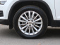 Škoda Kodiaq, 2020