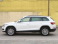 Škoda Kodiaq, 2020