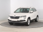 Škoda Karoq, 2021