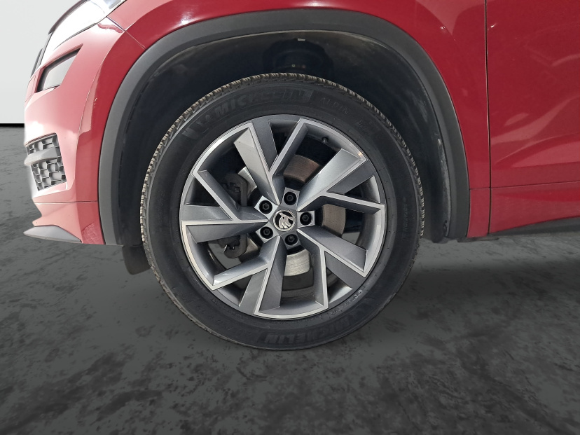 Škoda Kodiaq, 2019