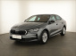 Škoda Octavia, 2024