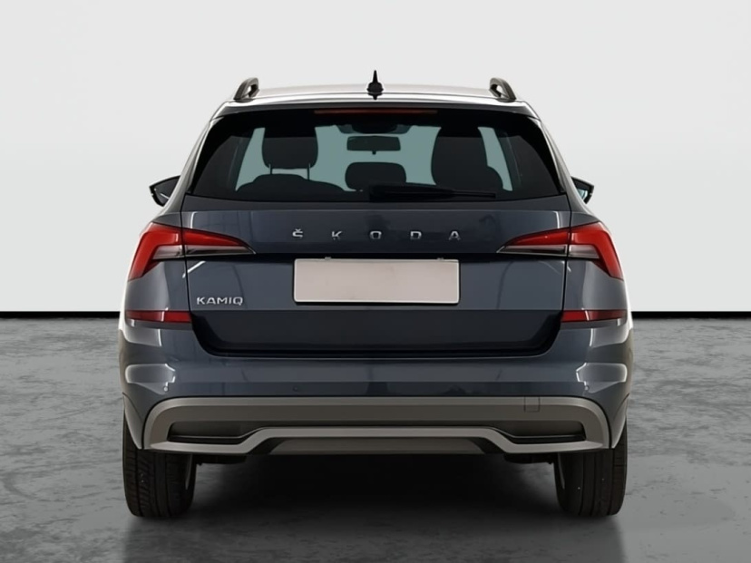 Škoda Kamiq, 2021