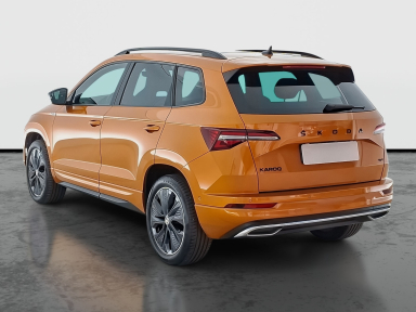 Škoda Karoq - 2024