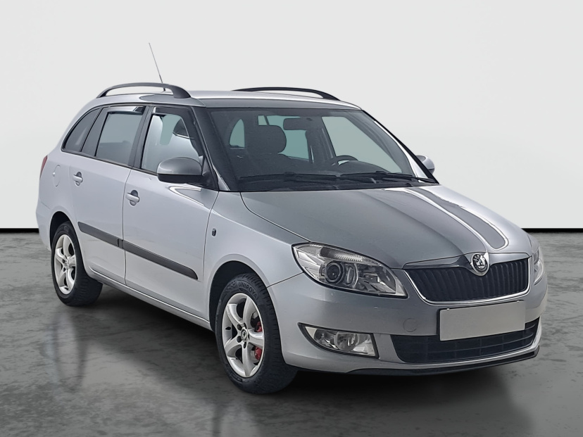 Škoda Fabia, 2010
