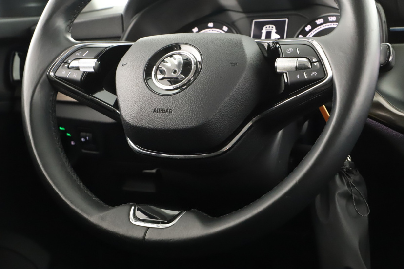 Škoda Kamiq, 2020