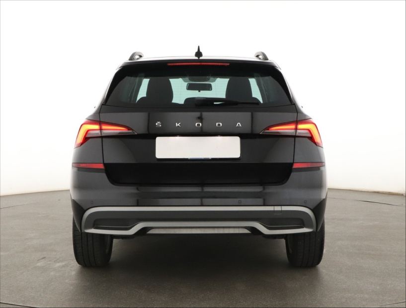 Škoda Kamiq, 2020