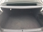 Volkswagen Passat CC, 2009