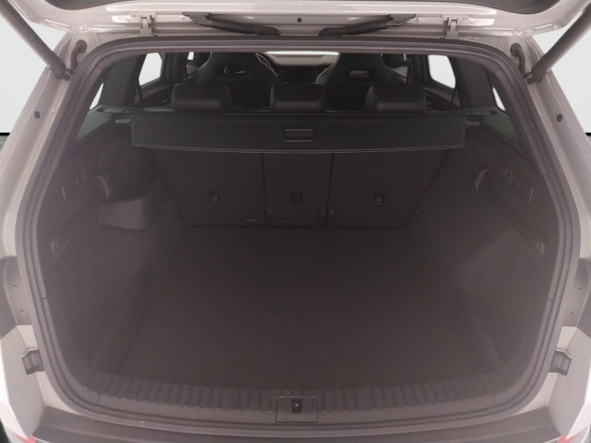 Škoda Kodiaq, 2020