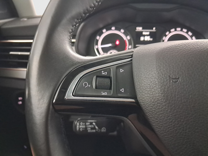 Škoda Kamiq, 2020