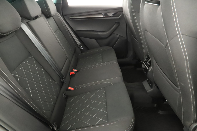Škoda Karoq, 2021