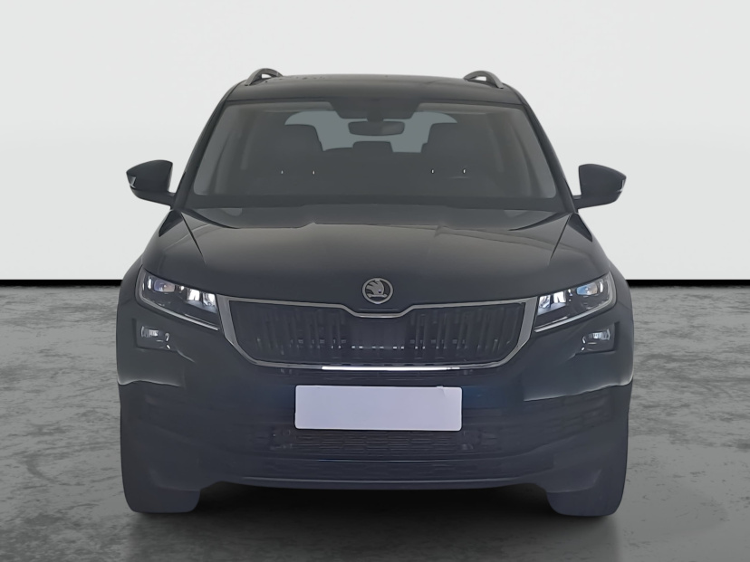 Škoda Kodiaq, 2019