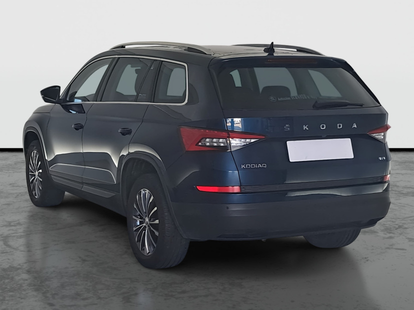 Škoda Kodiaq, 2019