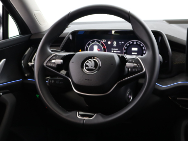 Škoda Kodiaq - 2024