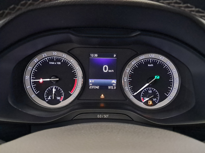 Škoda Kodiaq, 2020