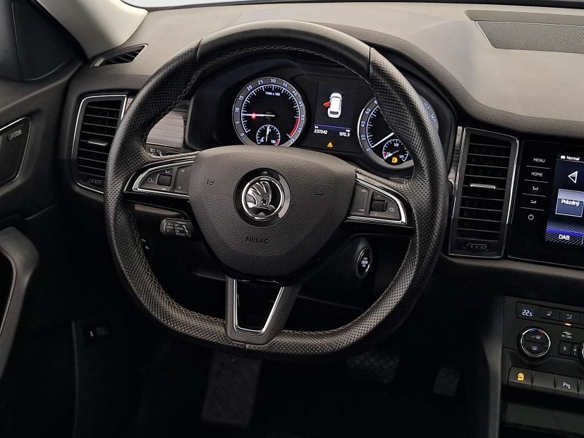 Škoda Kodiaq, 2020