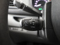 Peugeot Expert, 2019