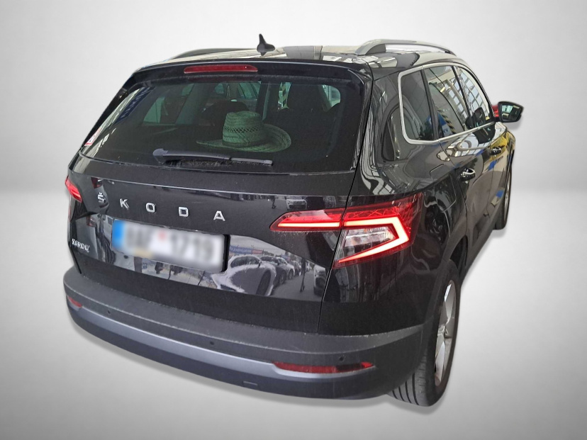 Škoda Karoq, 2020