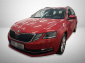Škoda Octavia, 2019