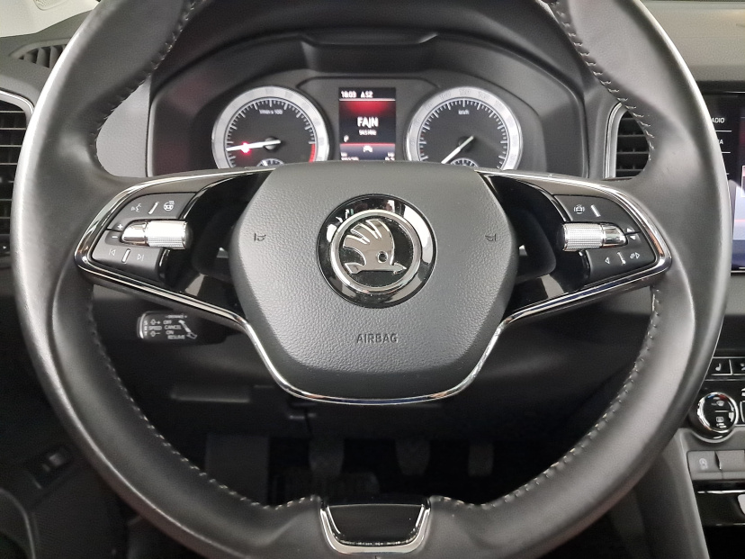 Škoda Karoq, 2020