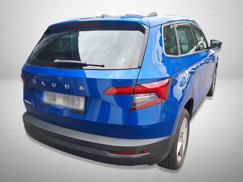 Škoda Karoq, 2020