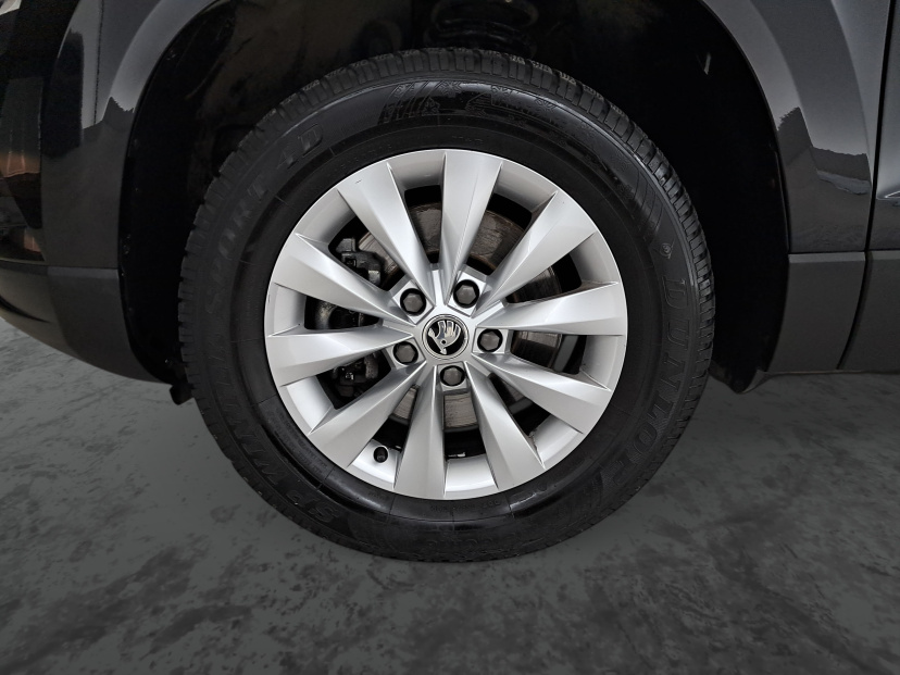 Škoda Karoq, 2018