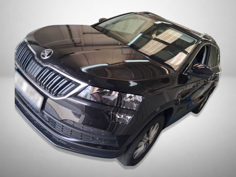 Škoda Karoq, 2018
