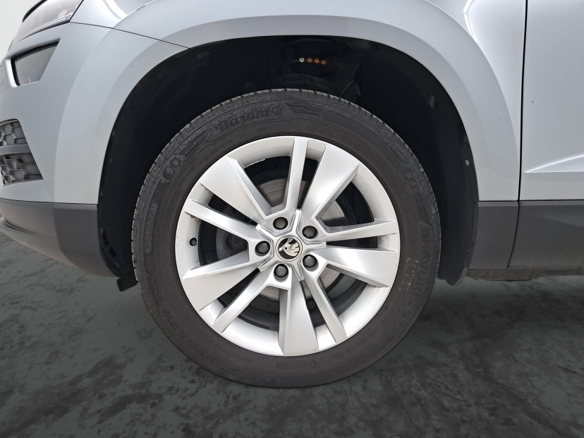 Škoda Karoq, 2020
