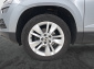Škoda Karoq, 2020
